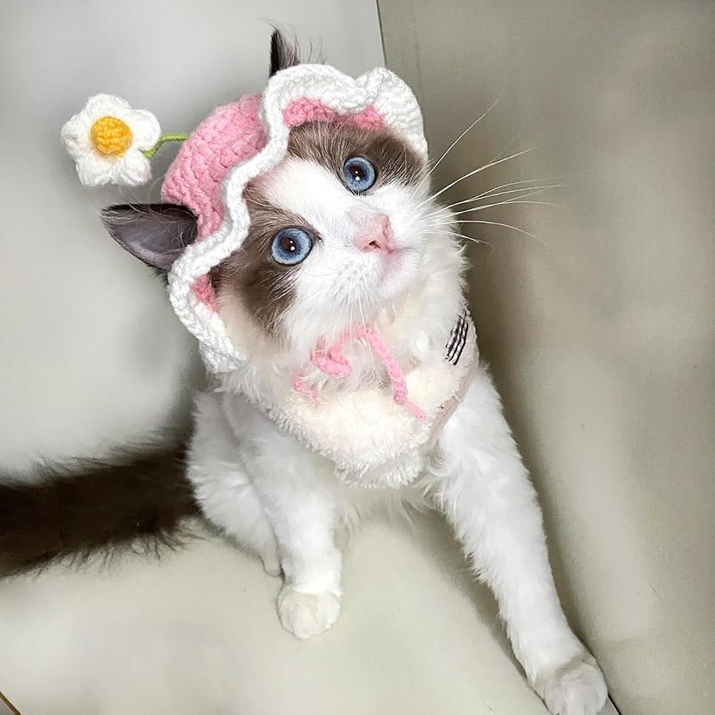 Amazon | 猫帽子 花の帽子 ペットの可愛いニットハット (ピンク, S
