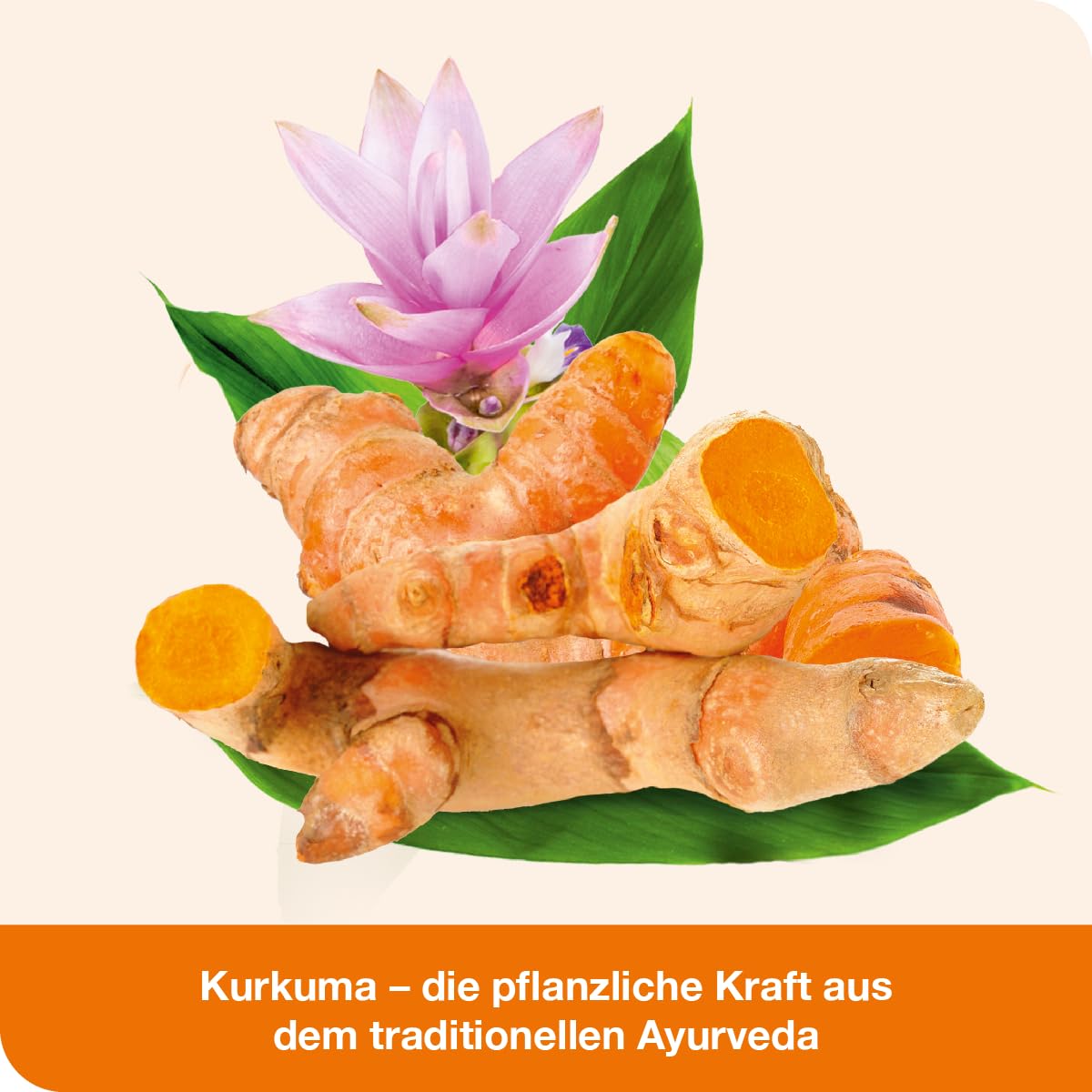 curcumin-Loges® - 120 Kapseln - Nahrungsergänzungsmittel mit hoch bioverfügbarem Curcumin und Vitamin D
