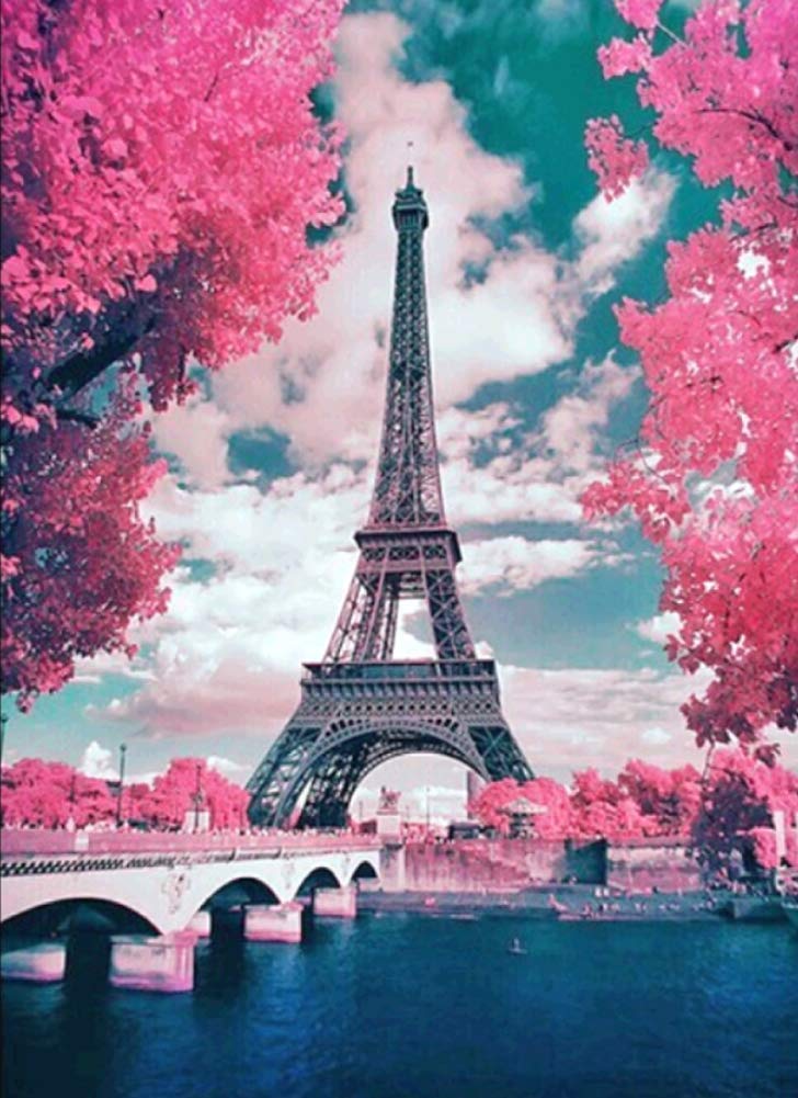 Awesocrafts Eiffel Tower Cross Stitch Stamped Kits Paris, Flowers Trees Easy Patterns Cross Stitching Embroidery Needlework Kit Supplies (Eiffel Tower)