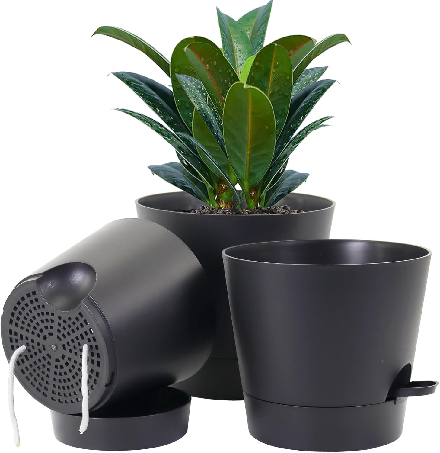 Set of 3 Self Watering Plant Pots - Image 2