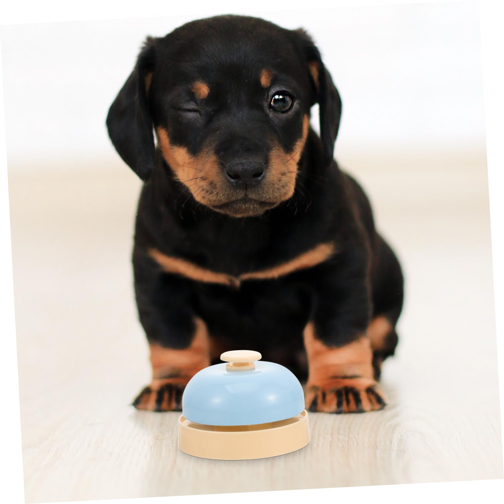 HANABASS Dog Bells for Door Pet Doorbells for Potty Training Press Bell Simple Design