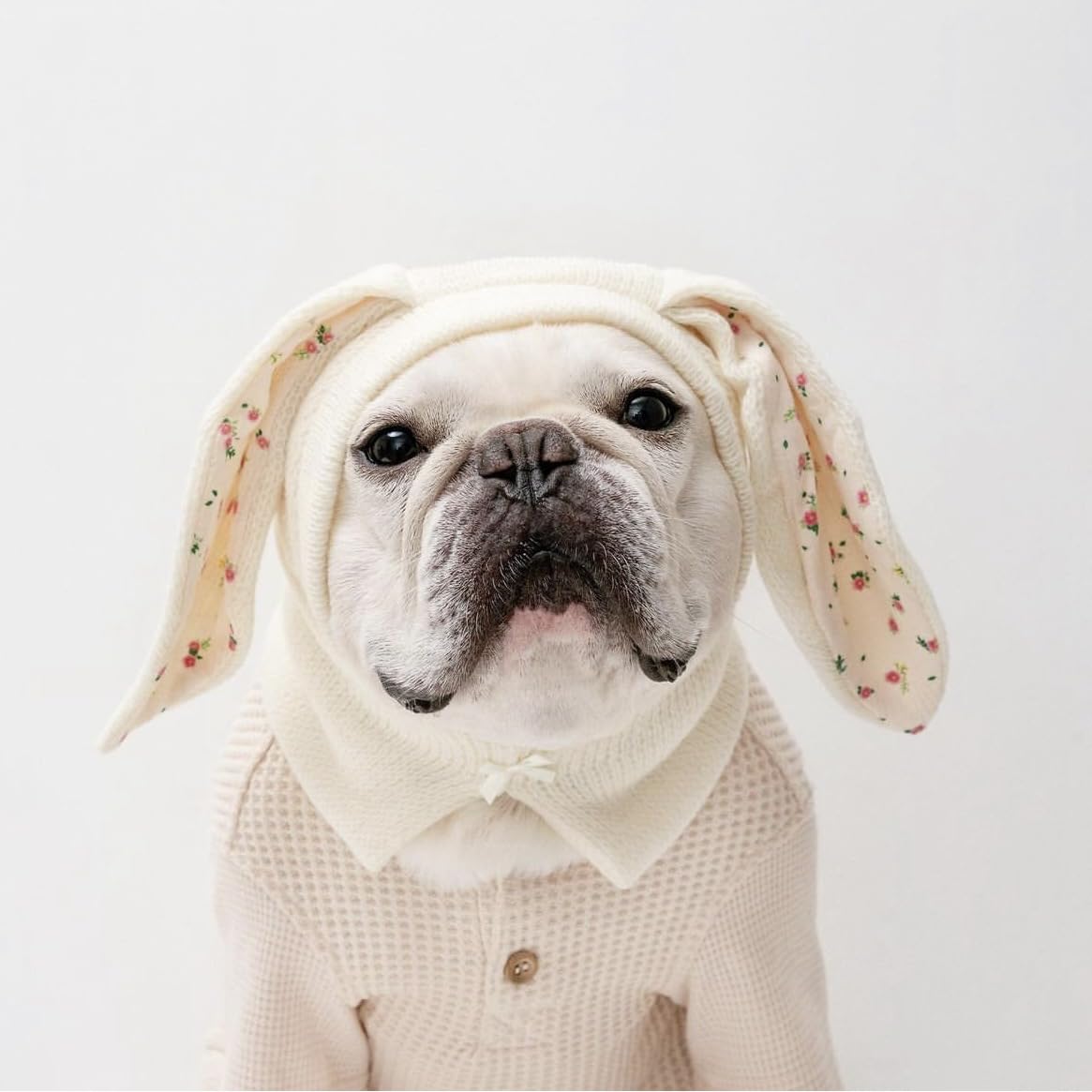 Rabbit Quiet Ears Dog Muffs, Noise Protection Knitted Pet Hat With Ear Cover