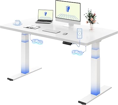 FLEXISPOT Electric Standing Desk BIG MAX 200KG Height Adjustable