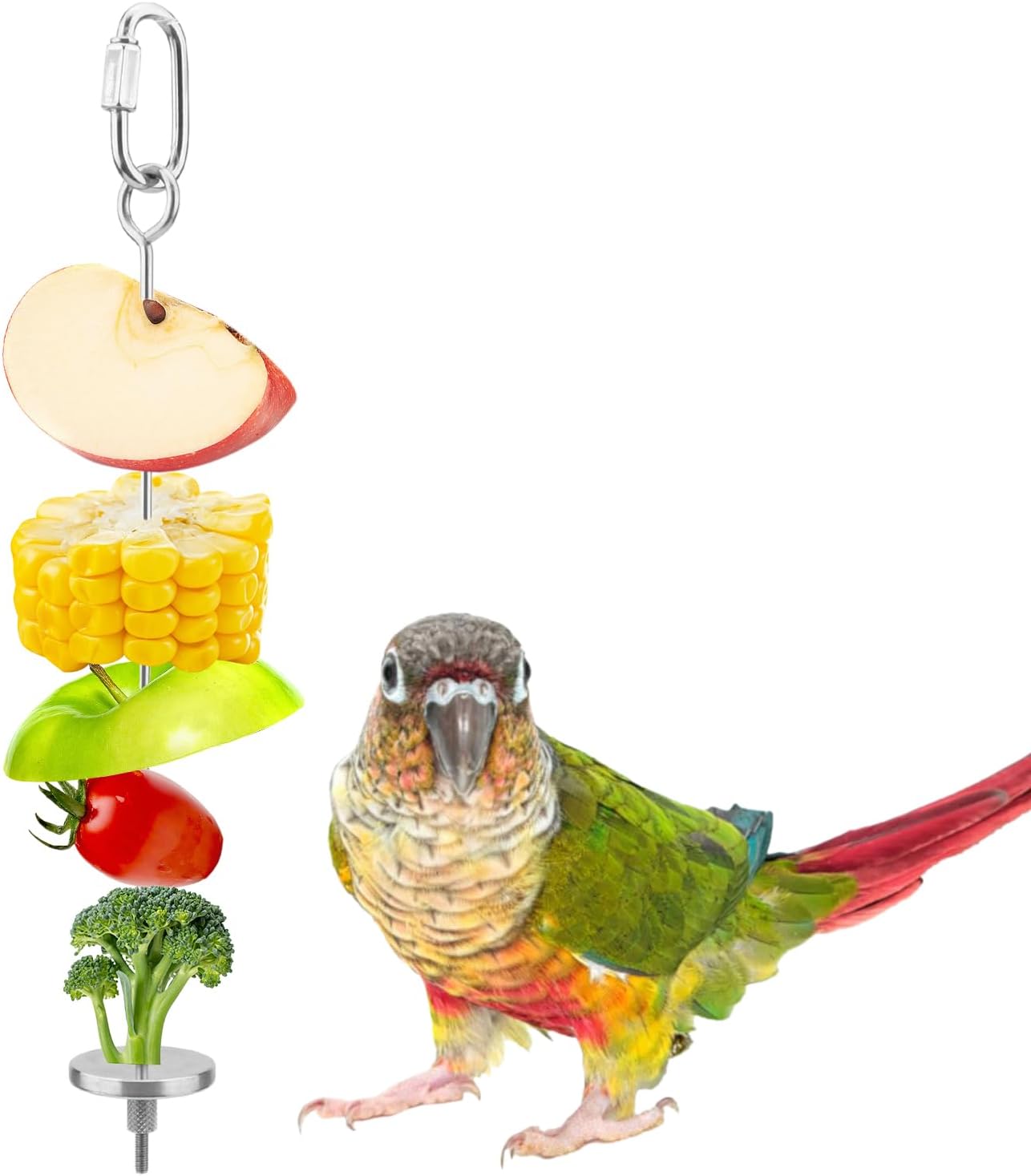 Hypeety Bird Fruit Vegetable Holder Stainless Steel Vegetable Skewer Hanging Food Feed Tool for Parrot Budgies Parakeet Cockatiels Conure Lovebirds Finch Canary Pigeon Hamster Rat Gerbil(7.9inch,20cm)