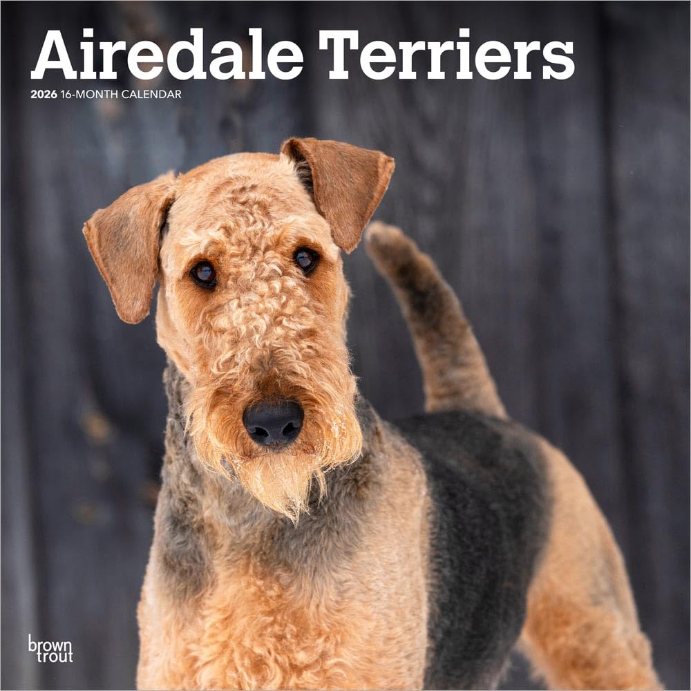 Airedale Terrier 2026 - 16-Monatskalender: Original BrownTrout-Kalender [Mehrsprachig] [Kalender]