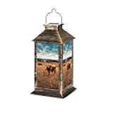 Solar Lantern Texas Longhorn Cow Cloudy Sky Cattle Ranch Agricultural Field Wildlife Outdoor Waterproof Hanging Solar Light Outside Lights for Patio Yard House Lawn Decor Birthday Gifts for Women Mom