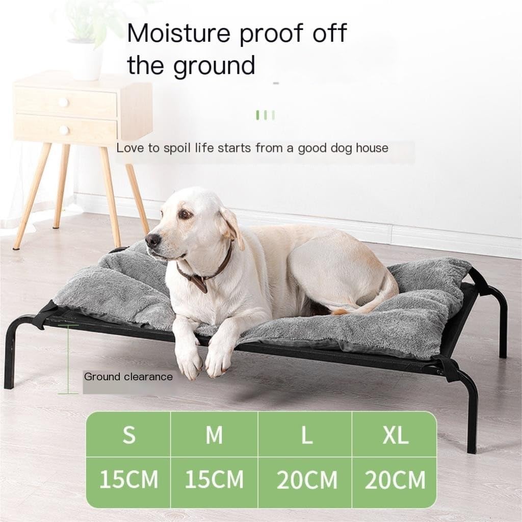 値下げ 激レア ラッキーストライクのスキー板 本日10月1日から