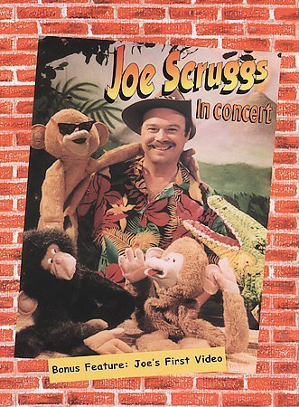 Joe Scruggs in Concert by Music Design