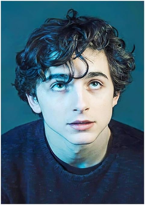 Amazon Co Jp ジグソーパズル300 500 1000ピース大人向けパズル 映画スターシリーズティモシーシャラメ 部屋の装飾クリエイティブギフト知育玩具きれいなポスター Ym963 Size 300pieces おもちゃ