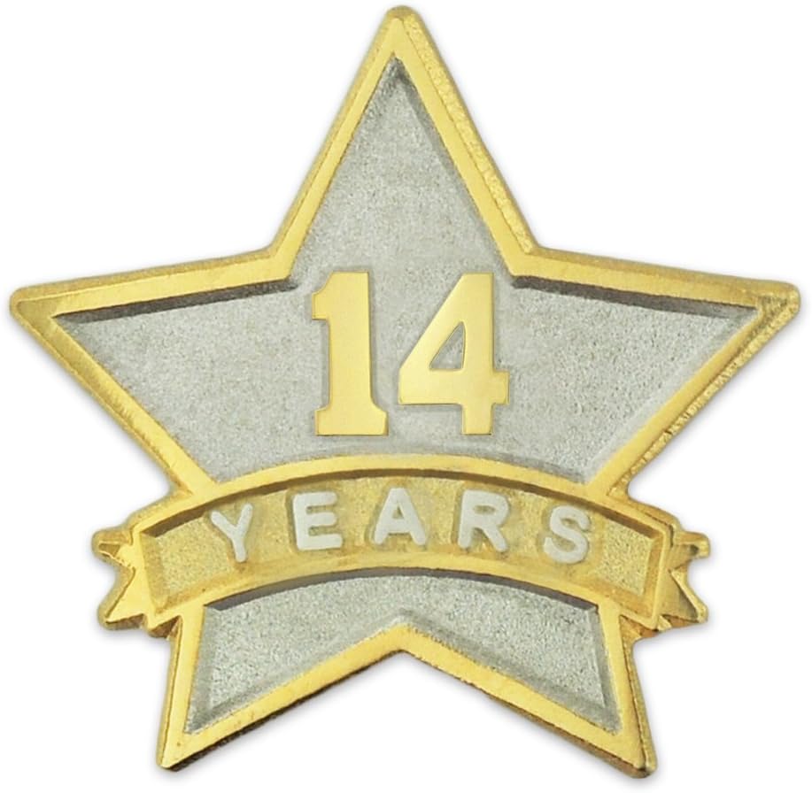 PinMart Year Service Award STAR Lapel Pin  Gold- & Silver-Plated Metal Workplace Reward Pin  1-30 Years of Service Star Pins for Long Standing Employees or Volunteers