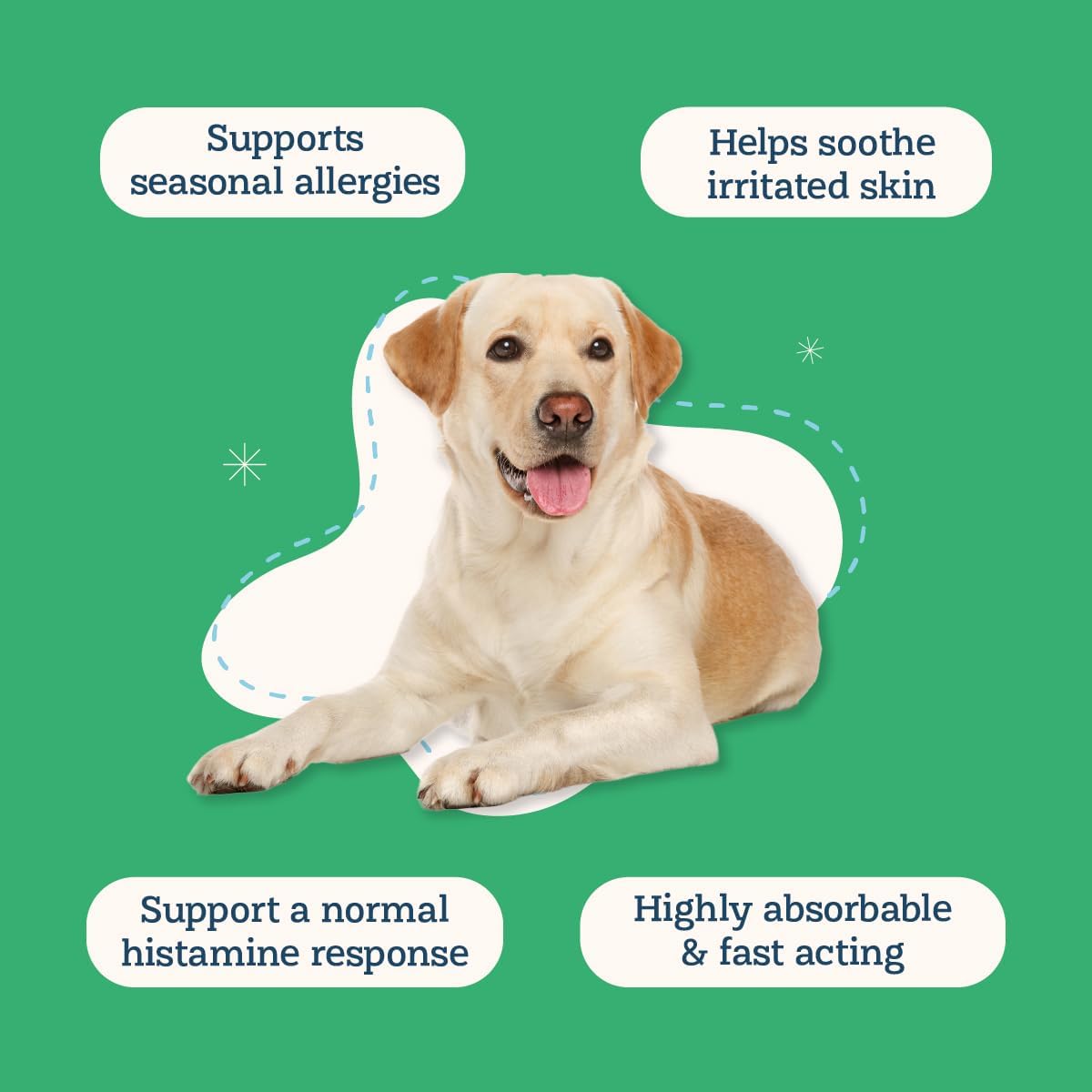 Alice & Eli Quercetin for Dogs - Liposomal Quercetin with Bromelain for Maximum Absorption - for Seasonal and Environmental Allergies - 30 Day Large Dog Supply - Image 3