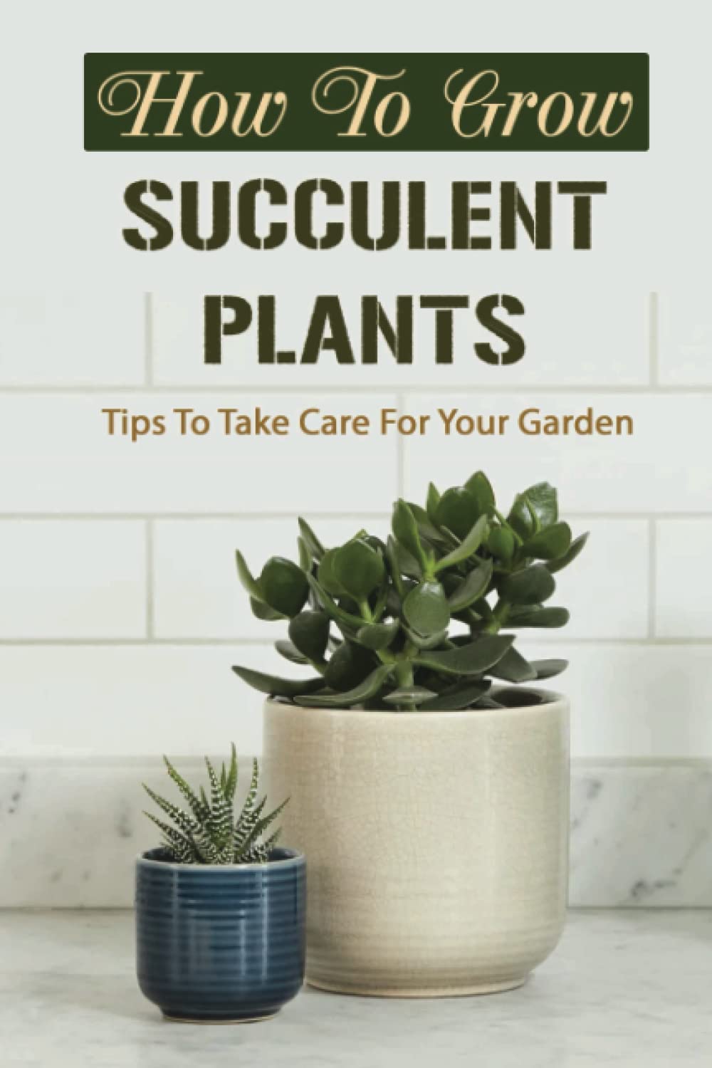 How To Grow Succulent Plants: Tips To Take Care For Your Garden