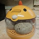 Review Image by Val Val