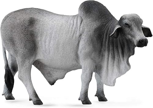 CollectA 88579 Brahman Bull, 5.3 pulgadas de largo x 3.3 pulgadas de alto, gris