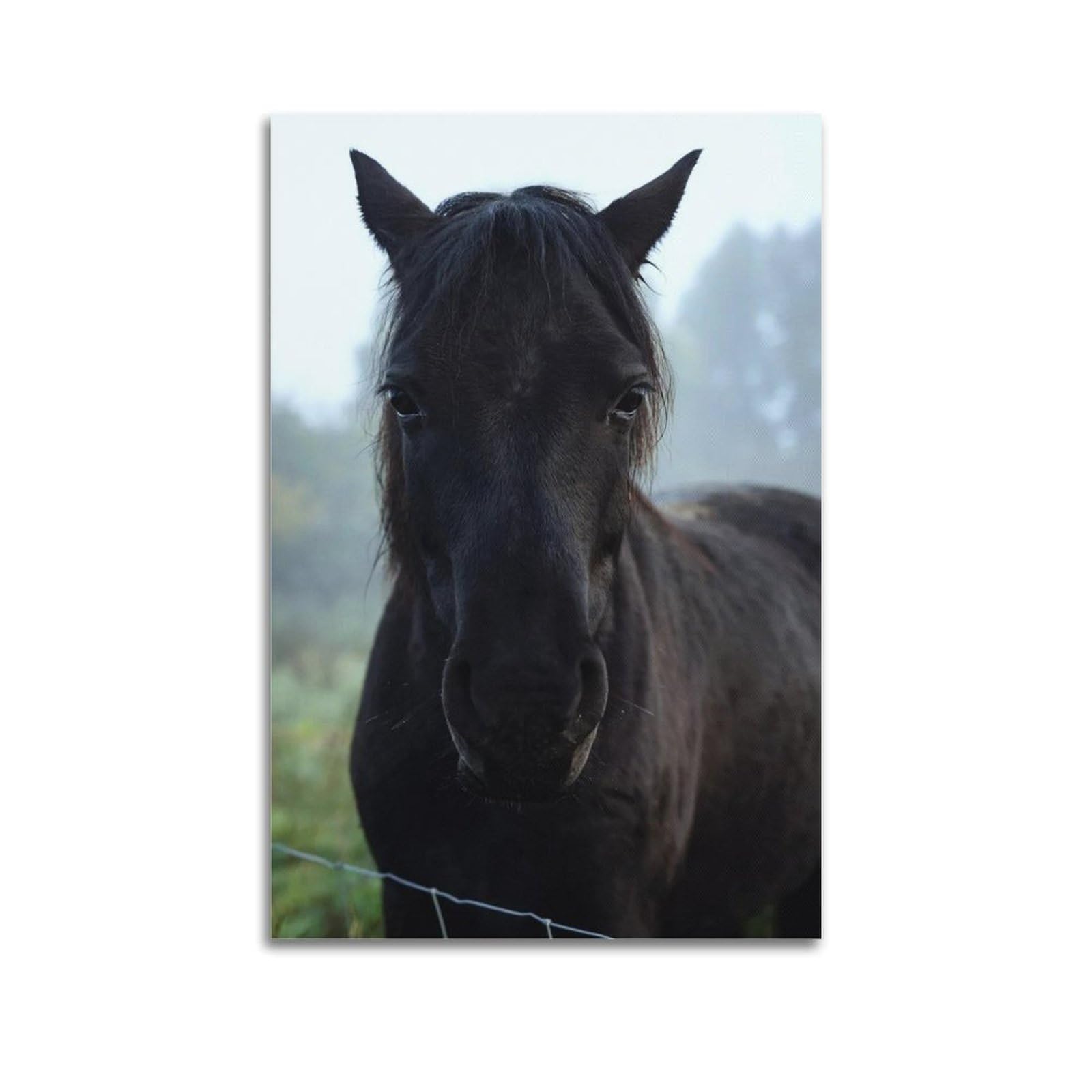 XKUGA Equestrian Pasture Poster Vintage Mysterious Black Stallion Modern Decorative Canvas Prints - Ideal Wall Art for Family, Man Cave, Game Room, Boys & Girls Bedroom 20x30inch(50x75cm)
