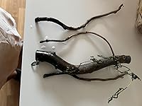 Review Image by UBIO001 UBIO001