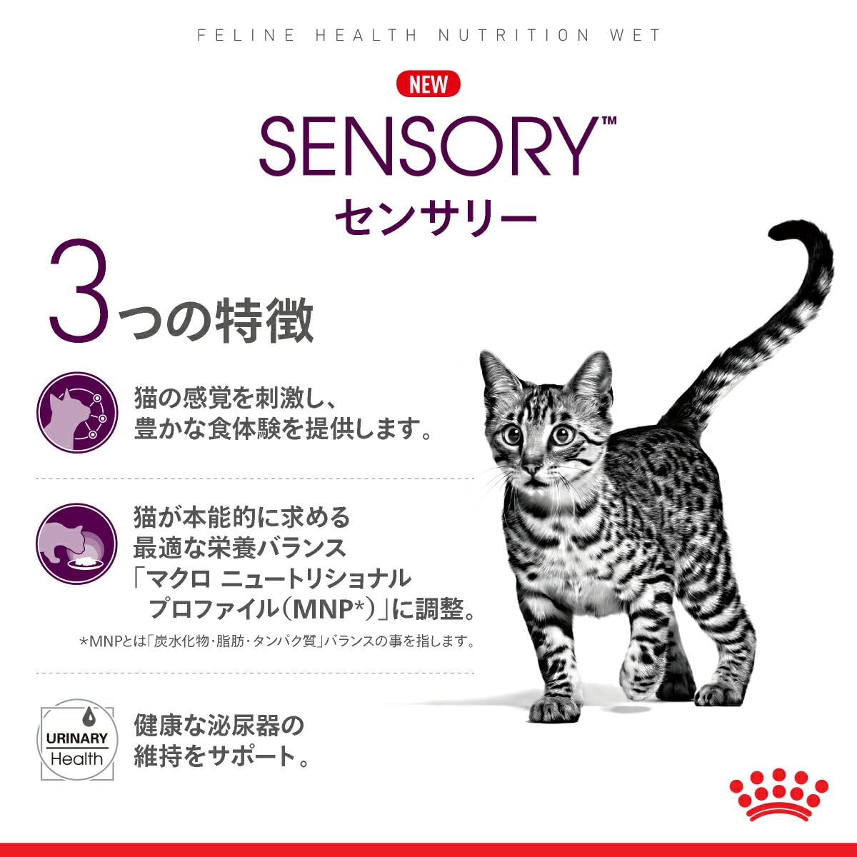 ロイヤルカナン 食感にこだわる成猫用 ウェット パウチ 85g×48個セット ロイヤルカナン ウェットパウチ｜業務用トリミング用品通販ショップ