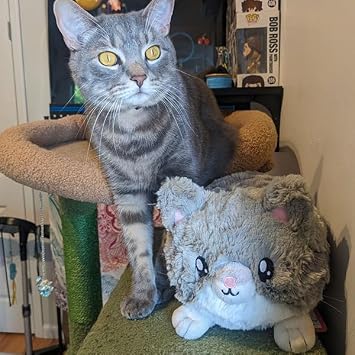 Squishable - Mini Grey Kitty - Pets Collection - 10.5 in - Soft Toy Collectible Stuffed Animal