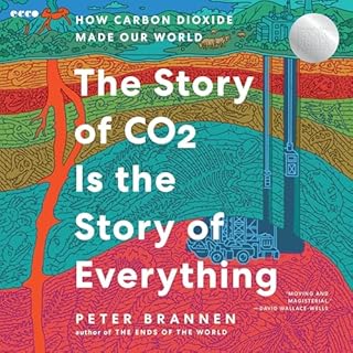 Page de couverture de The Story of CO2 Is the Story of Everything