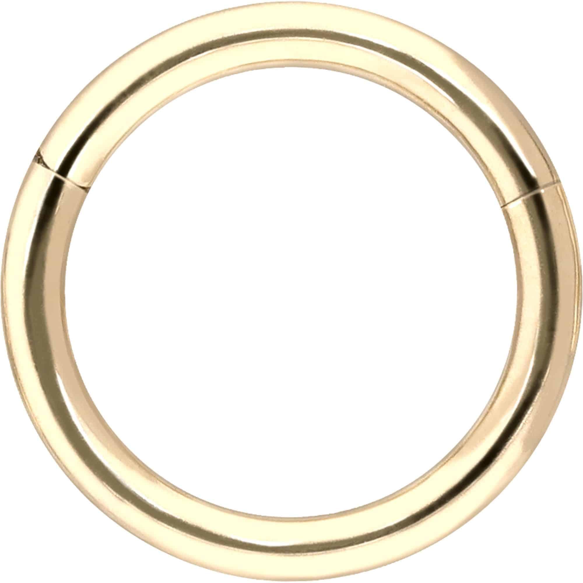 PIERCINGLINE Piercing Ring 14K Gold Segmentring Clicker 585er Gold - Roségoldfarben, Goldfarben, Silberfarben