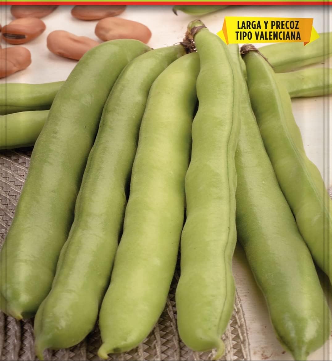 Batlle Seed - Haba Early Bean Carmen Long 1kg