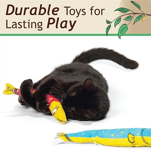 Miniatura 60 de KittiKrack Rock Organic Silvervine - Sustituto de hierba gatera para gatos y gatitos Gránulos de vid plateada cosechados salvajes totalmente