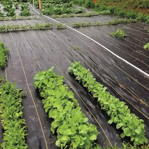 Image of Dewitt Pro-5 Weed Barrier Fabric 5 oz, 6 x 250 Feet - Heavy-Duty