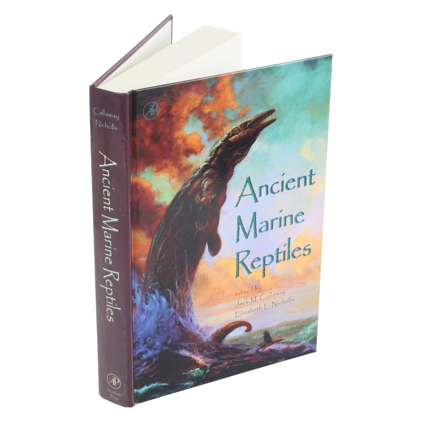 Ancient Marine Reptiles - Image 3