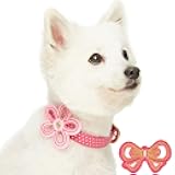 Adjustable Dog Collar with Metal Buckle and 2 Detachable Bowtie - Pink Polka Dot, Neck 9-12.5