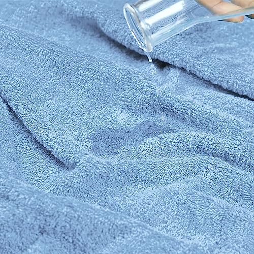 Trident 4 Piece Hand Towels Set For Bathroom - 100% Cotton Soft And Plush Highly Absorbent, Hotel Luxury, Super Soft 16" X 26" Salon Towel For Hotel & Spa - Allure #TOP5