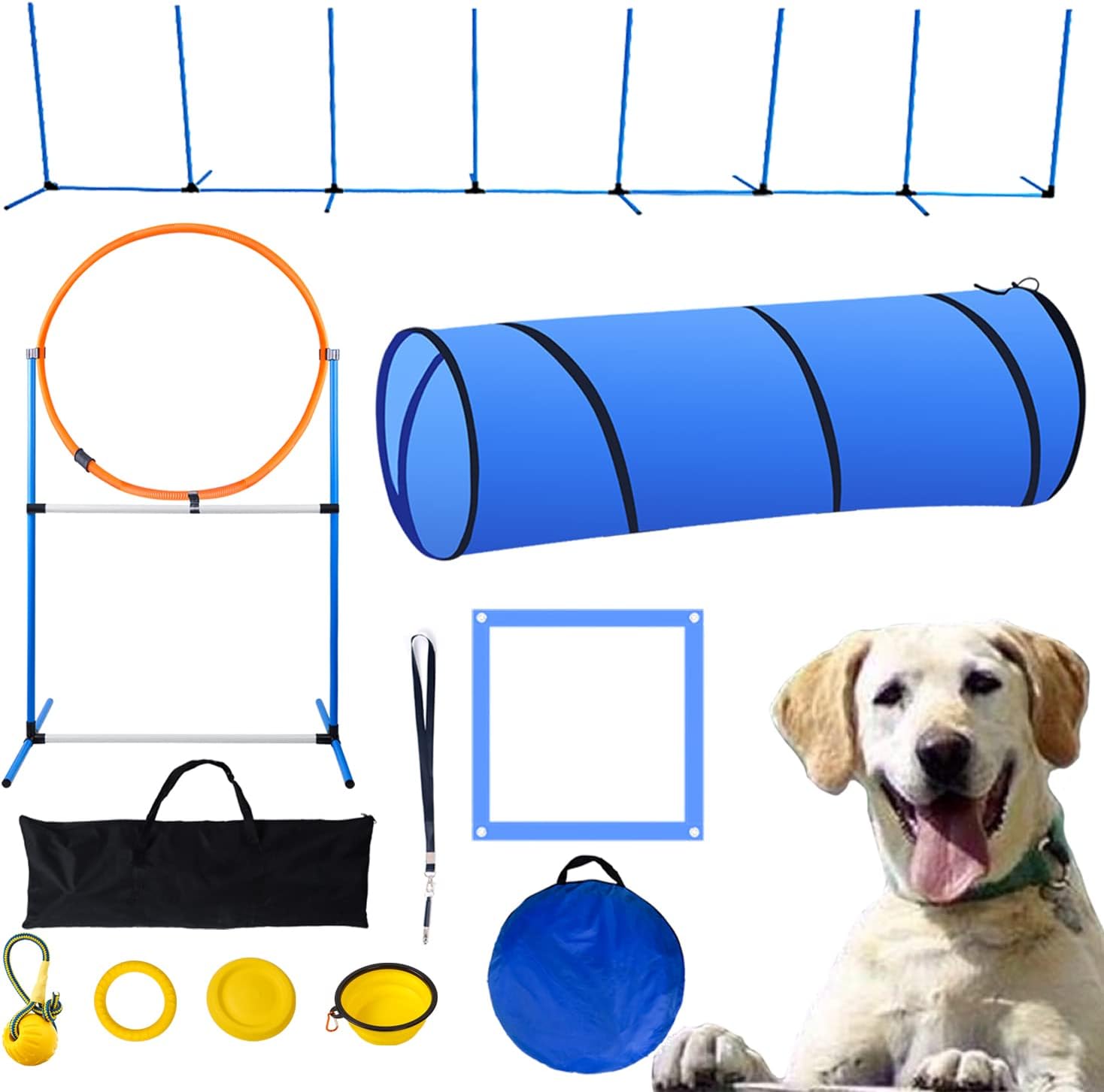 Dog Agility Training Equipment, Dog Agility Kit for Indoor or Outdoor, Dog Obstacle Course for Medium to Larger Sized Dogs