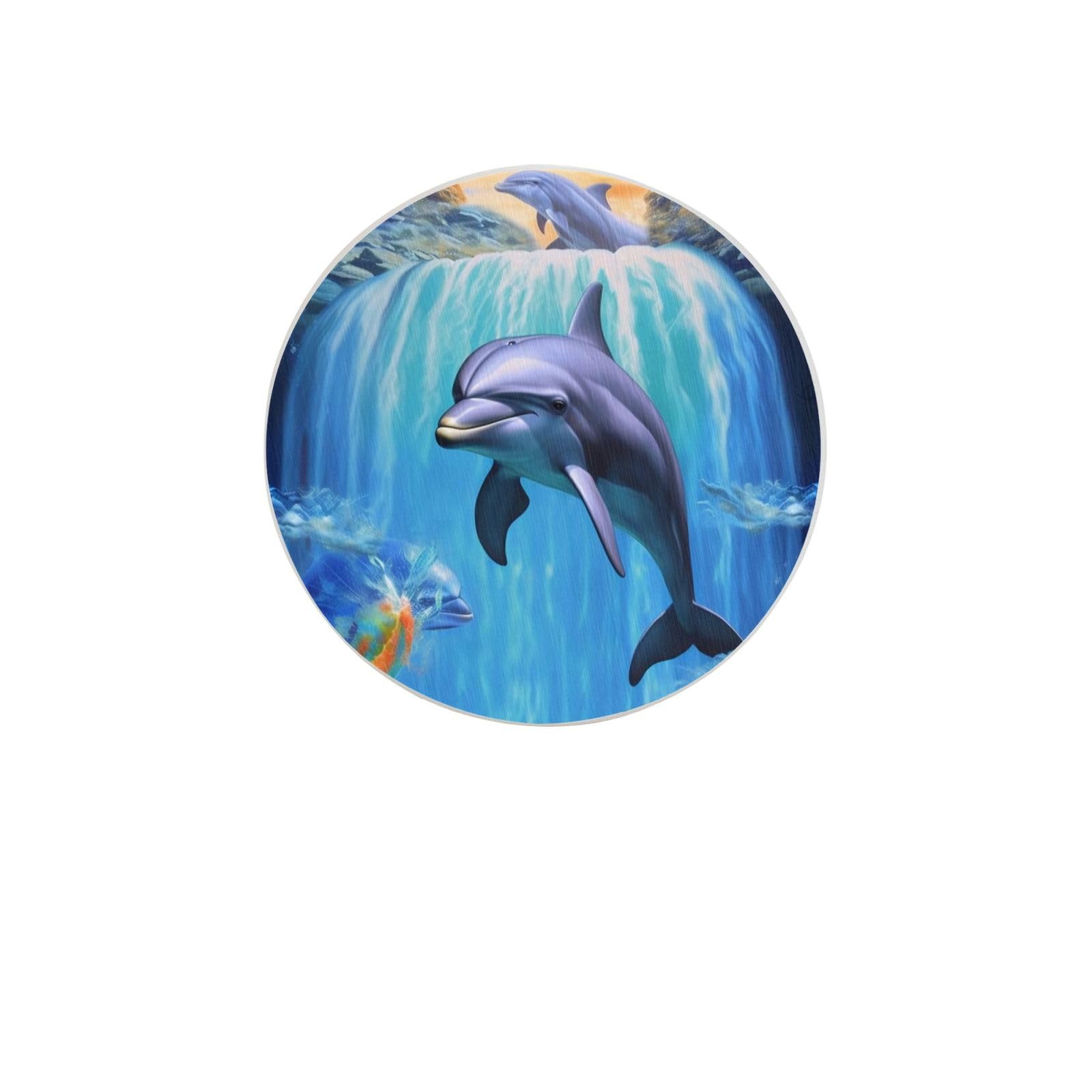 Dolphin Absorbent Drink Coasters Diatomaceous Round Coaster 4 Inch Reusable Cup Coasters Set 4pc