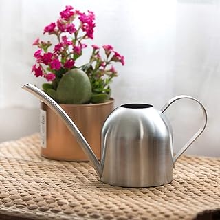 Stainless Steel Watering Can 17.6oz/500ml Small House Plant Flower Watering Pot with Long Spout, Modern Mini Metal Watering Can for Outdoor Indoor Garden Succulents Bonsai (Silver)