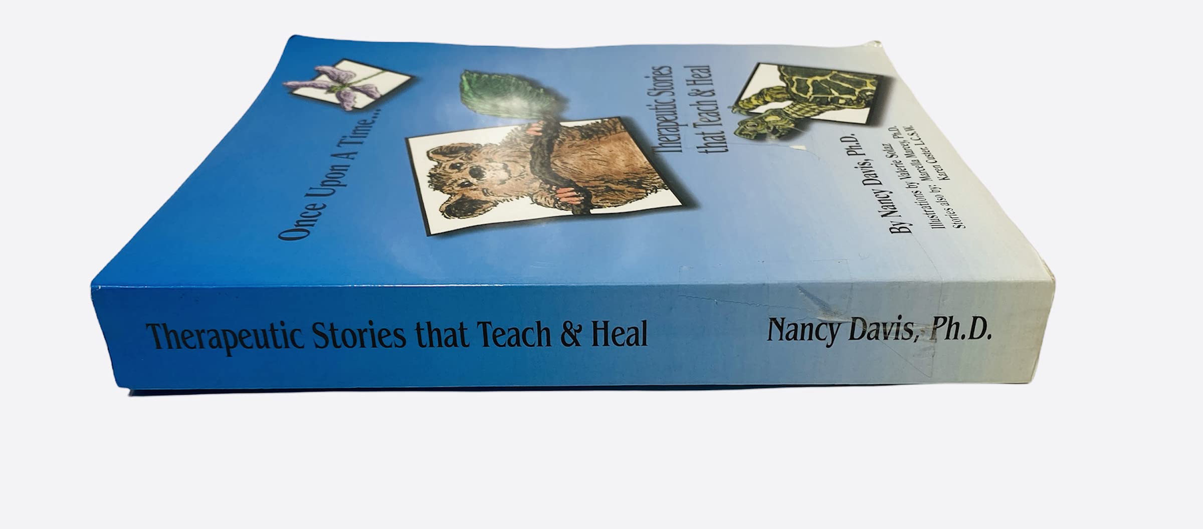 Once upon a Time: Therapeutic Stories That Teach and Heal - Image 3