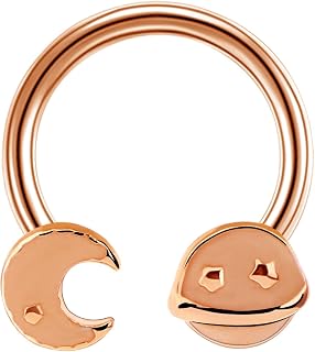 Horseshoe Earrings 16G Captive Bead Rings Horseshoe Piercing Epoxy Moon Planet Helix Earring Daith Rook Helix Septum Lip Conch Circular Rings