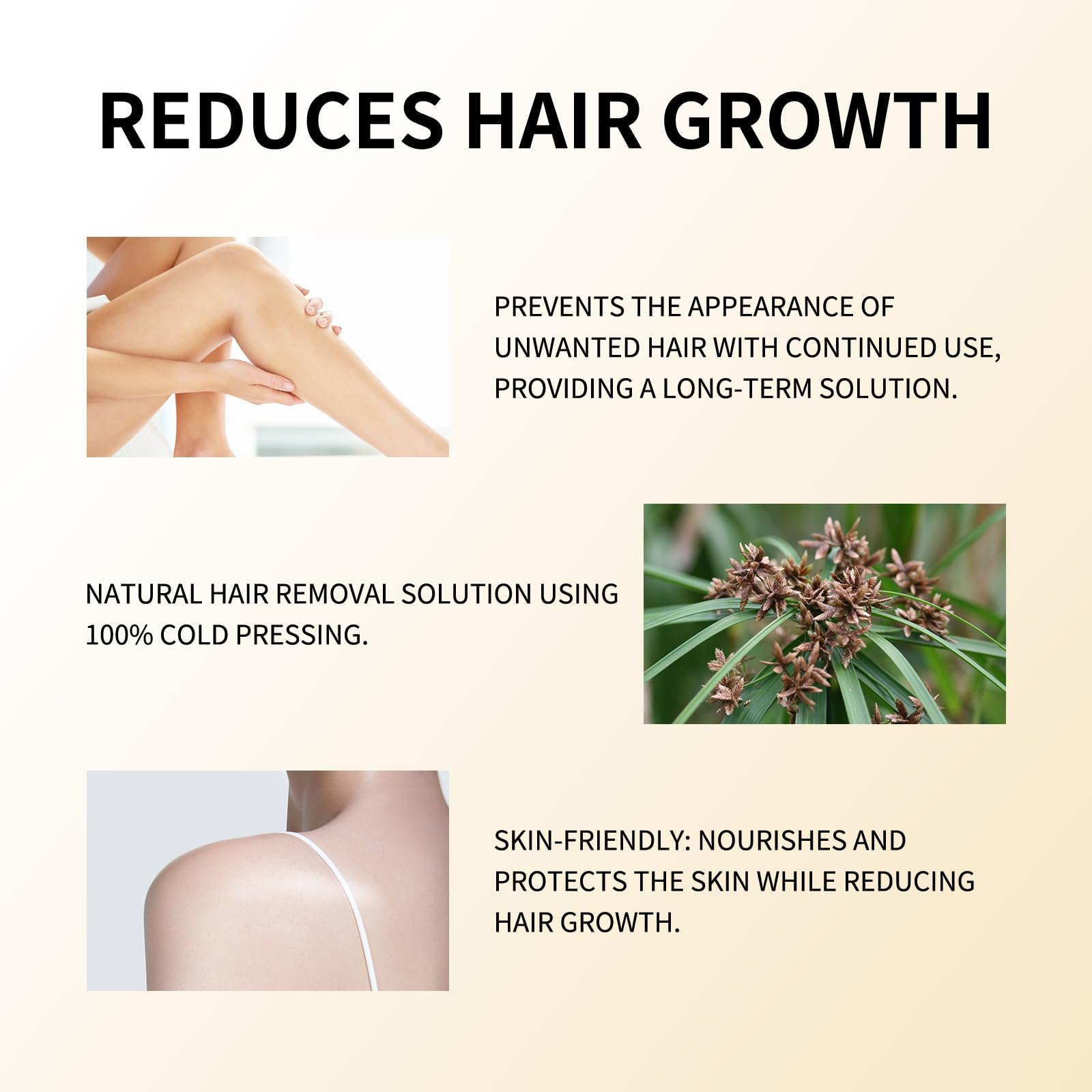 Snapklik.com : Cyperus Rotundus Oil,Cyprus Rotundus Oil For Hair ...