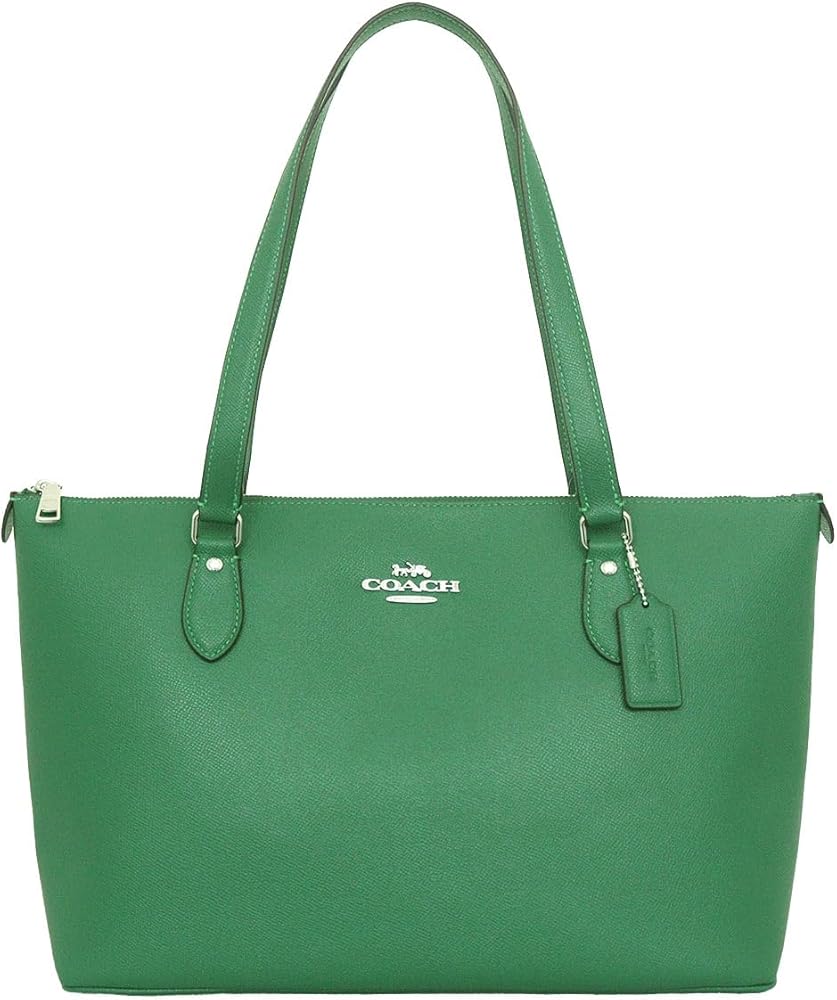 Amazon | [コーチ] バッグ(トートバッグ) FCV402 CV402 シャム