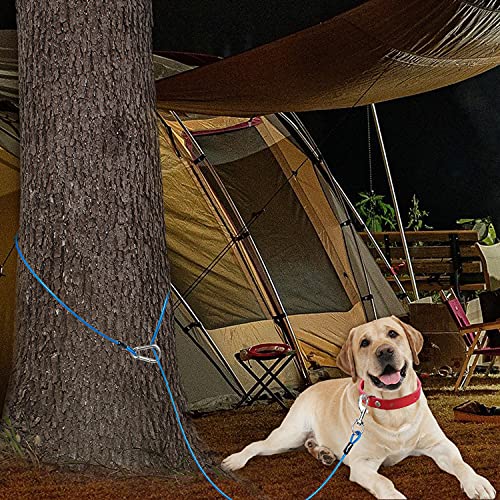 Short Dog Leash - Chew Proof 5 FT Tie Out Cable with Reflective Soft Padded Handle for Training Walking Running Hiking Camping - Heavy Duty Lead for Small Medium Large Dogs - Blue