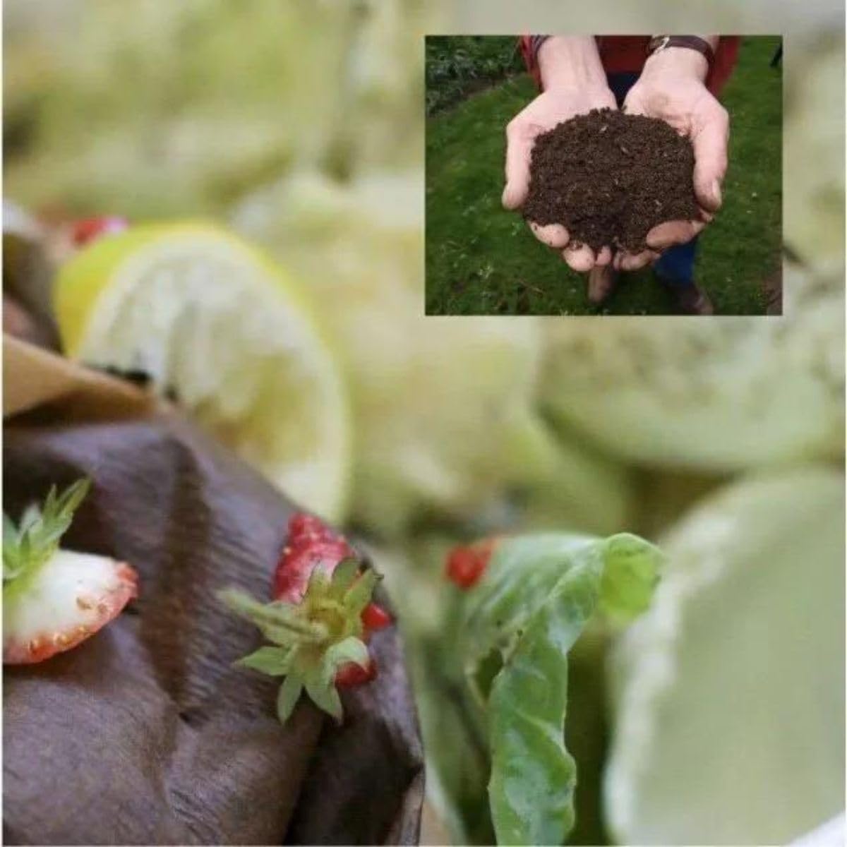 Bolsa de basura blanca biodegradable y compostable | Lote de 50 bolsas ecológicas responsables | Fabricación de materiales vegetales: almidón de maíz | resistente – impermeable | OK Compost EN12432