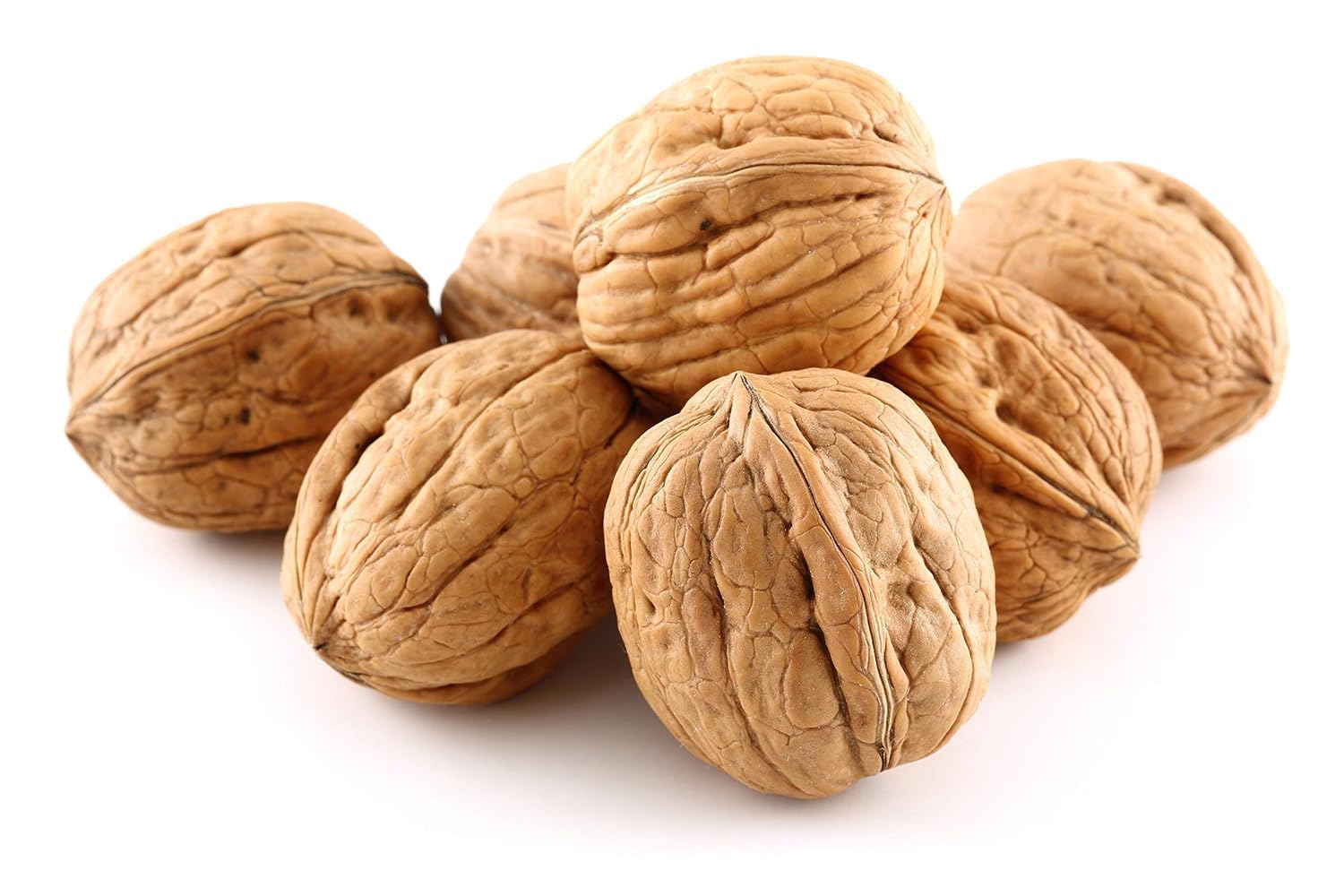55 Lbs Bulk Premium Natural Walnuts in Shell, Walnuts in Shell, Jumbo, Fresh, Buttery Taste, Easy to Crack, California, Natural Shells, Kosher, in Huge Bag