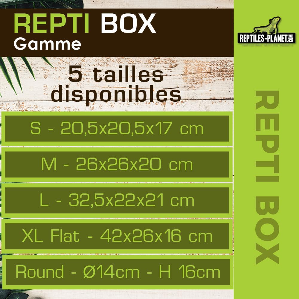 Reptiles Planet Repti Box XL Boite de Transport 42 x 26 x 16 cm