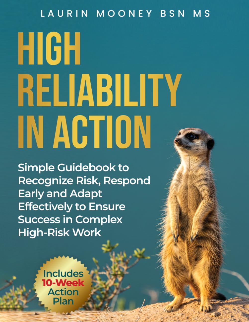 High Reliability in Action: A Simple Guidebook to Recognize Risk, Respond Early and Adapt Effectively to Ensure Success in Complex High-Risk Work.