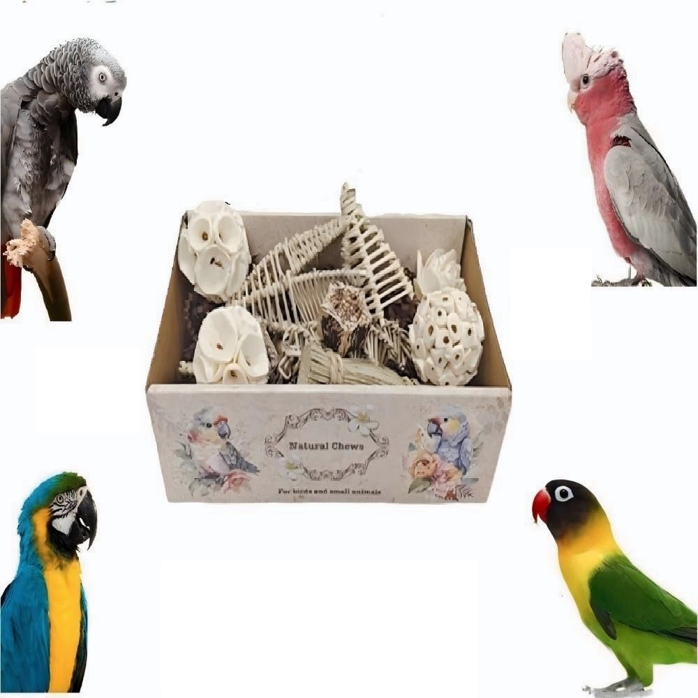 Bird Toys Bird Foraging Shredding Chewing Parrot Foraging Shredding Toys Chewing Toy Birdcage Accessories for Conures Caiques Cockatiel Budgies