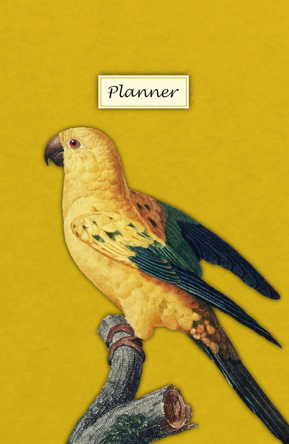 Yellow Parrot Planner la solution pour arrêter de procrastiner et planifier vos projets