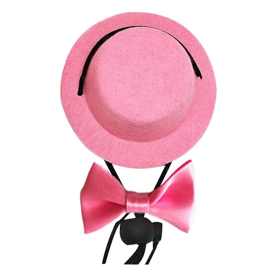 Amazon.co.jp: うさぎ用帽子 | ウサギ用帽子ウサギ用のフェルト