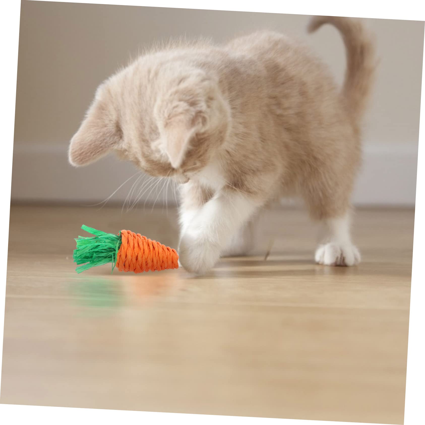 2 Sets Gewebte Rundspielzeuge Zum Kauen Von Molaren für Hamster Emotional Beruhigende Spielzeuge 7 Stück
