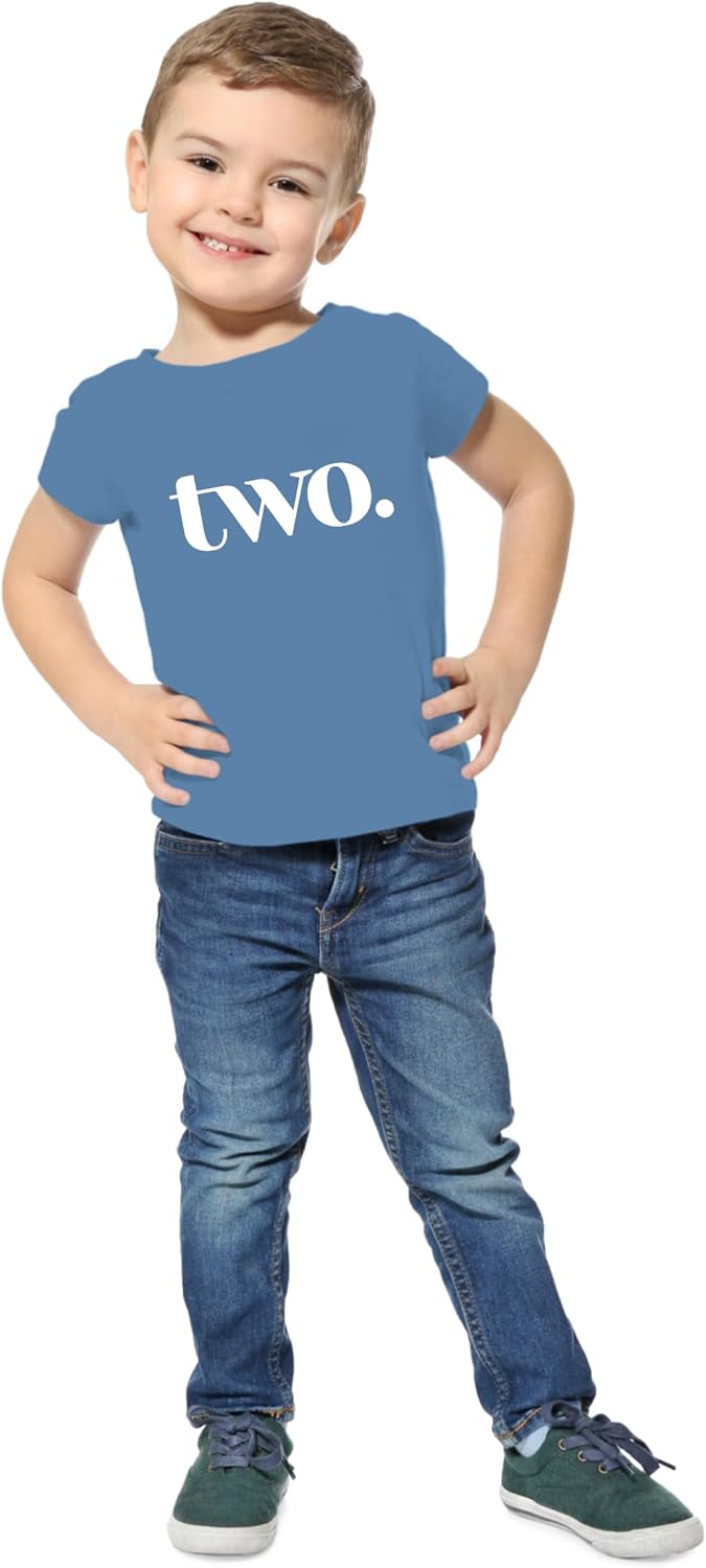2 Year Old Birthday Shirt 2nd Bday Party T-Shirt Toddler Boy Outfit Number Two