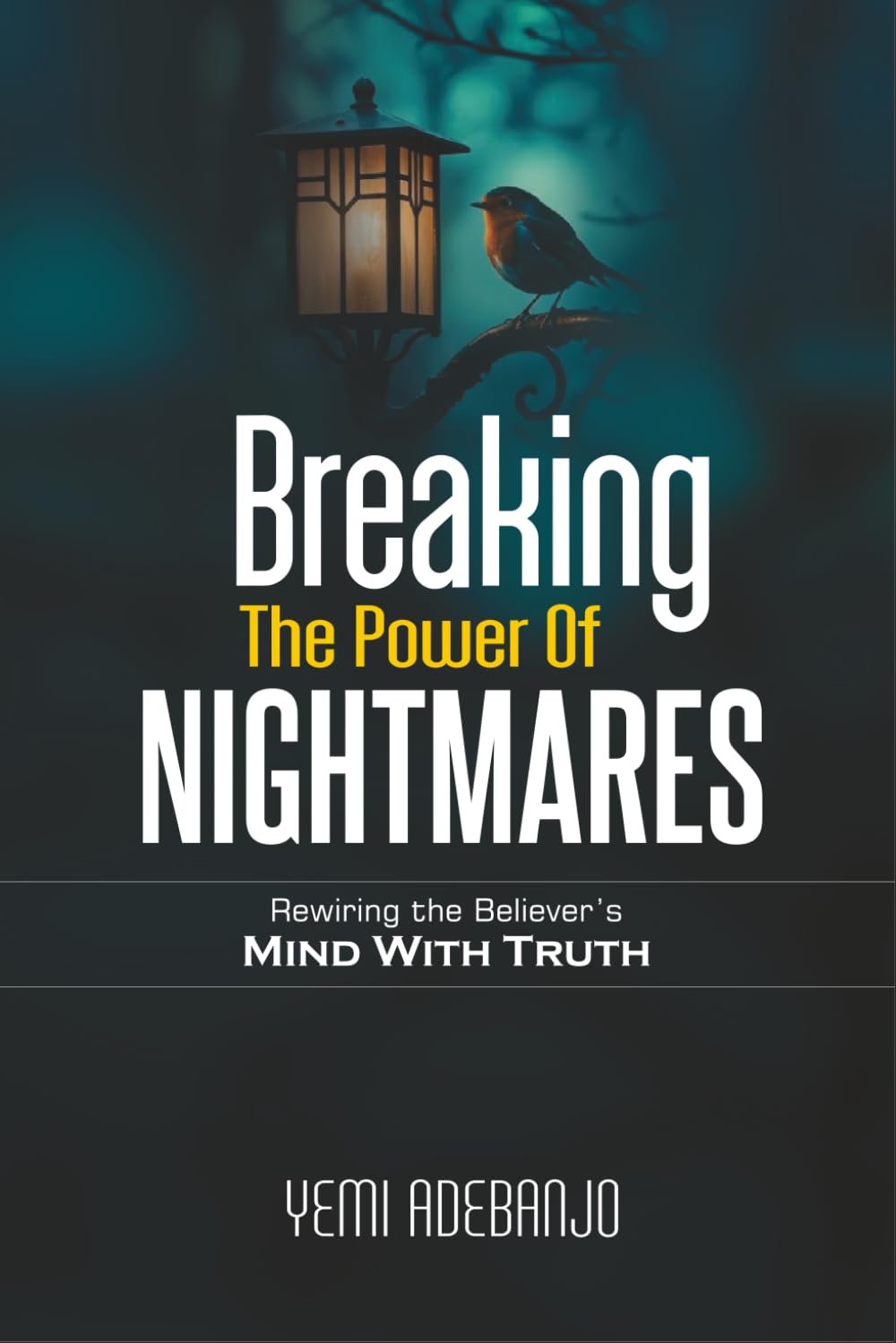 BREAKING THE POWER OF NIGHTMARES: Rewiring the Believer's Mind with the Truth: 2 (Conquering the Night Series)