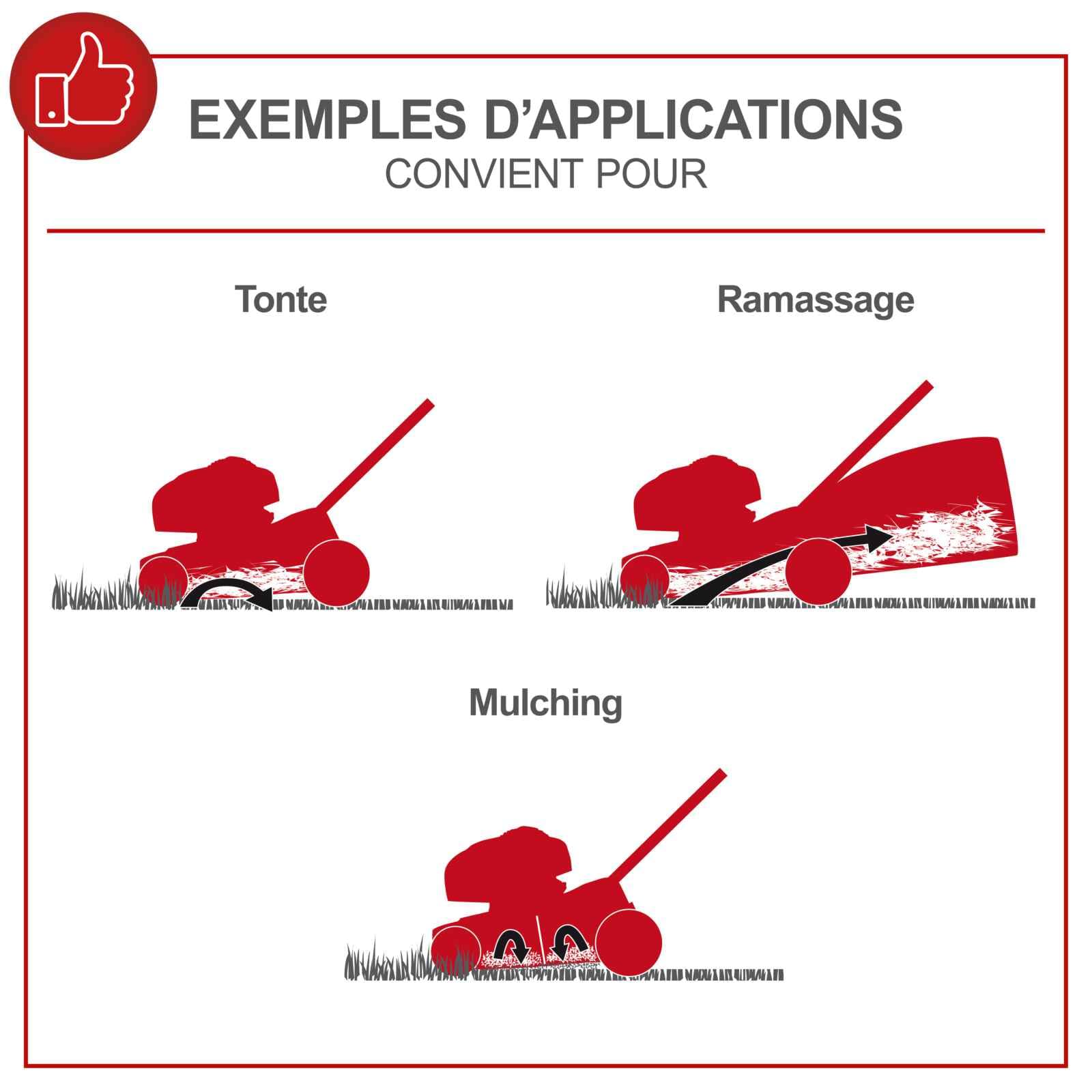 Scheppach Tondeuse à Gazon Thermique MS150-46E - Autotractée - 150 cm³ | Démarrage électrique - Moteur 4T - Largeur de Coupe 46cm - bac 55L - Fonction Mulching - Huile Incluse
