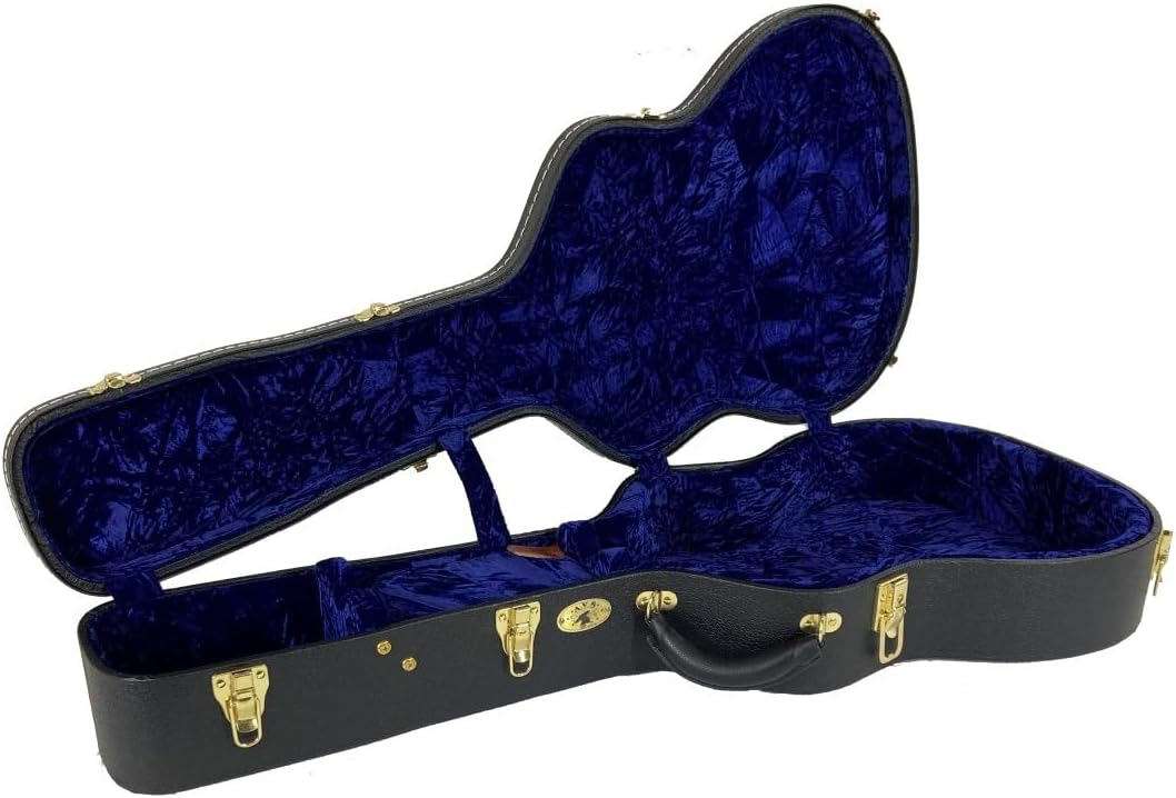 Interior view of the TKL AVS guitar case with blue plush lining